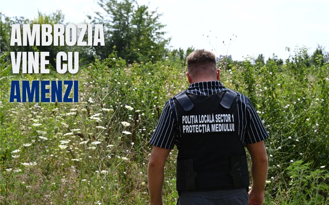 Sectorul 1 din București: 720 de amenzi pentru terenuri cu ambrozie