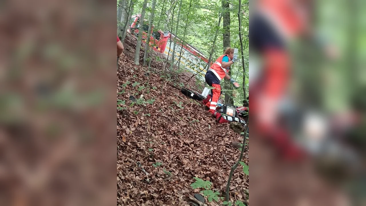 Bihor, Bratca–Damiș: motociclist în râpă de 30 m, decedat