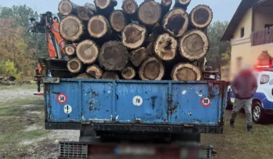 Braconaj în Giurgiu: 9 percheziții și un tânăr reținut 24 de ore