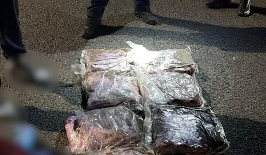 DIICOT Arad: reținere după descoperirea a peste 7 kg de canabis