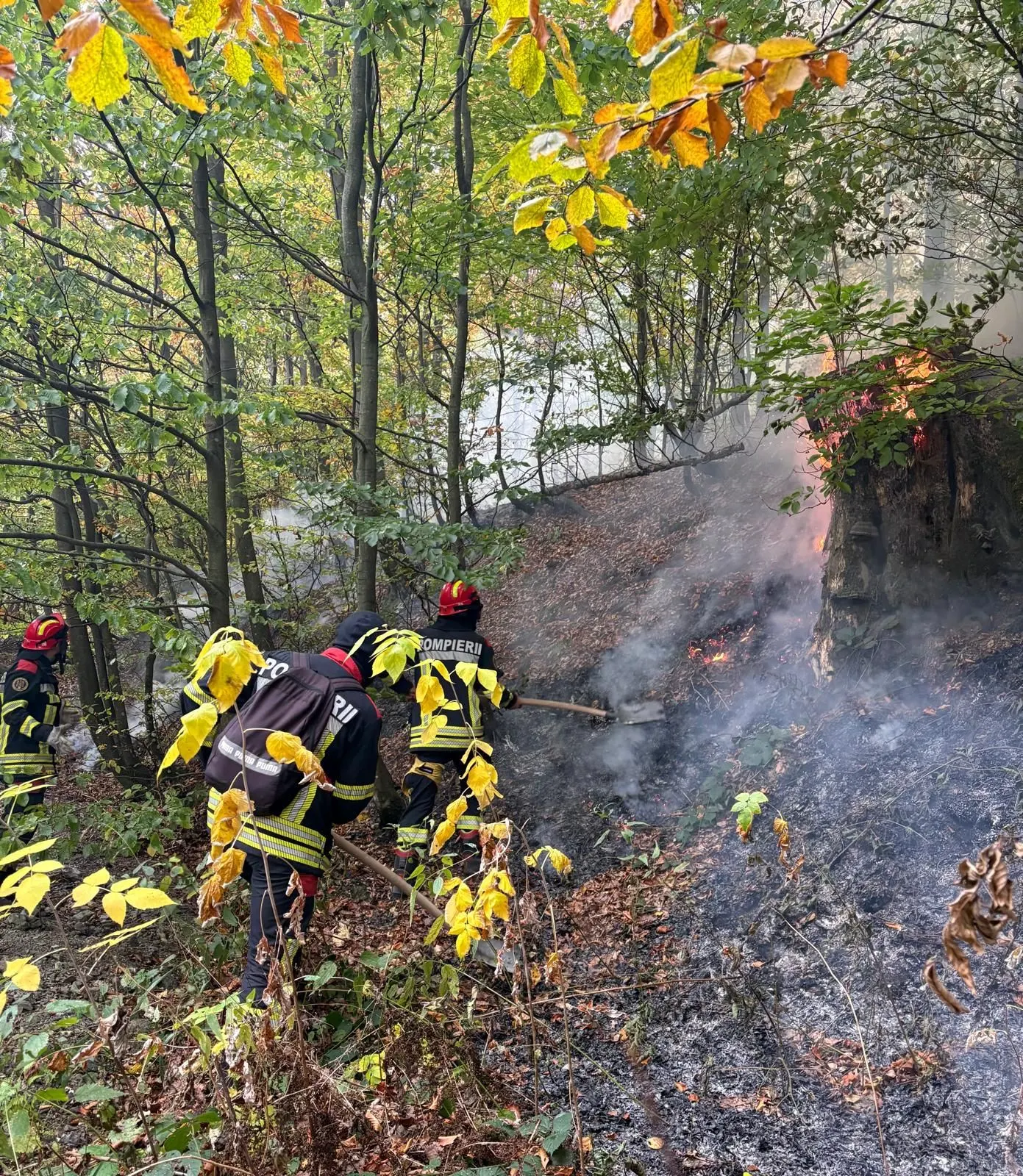 Domogled–Valea Cernei: stingerea a continuat tot weekendul, riscul de reaprindere rămâne