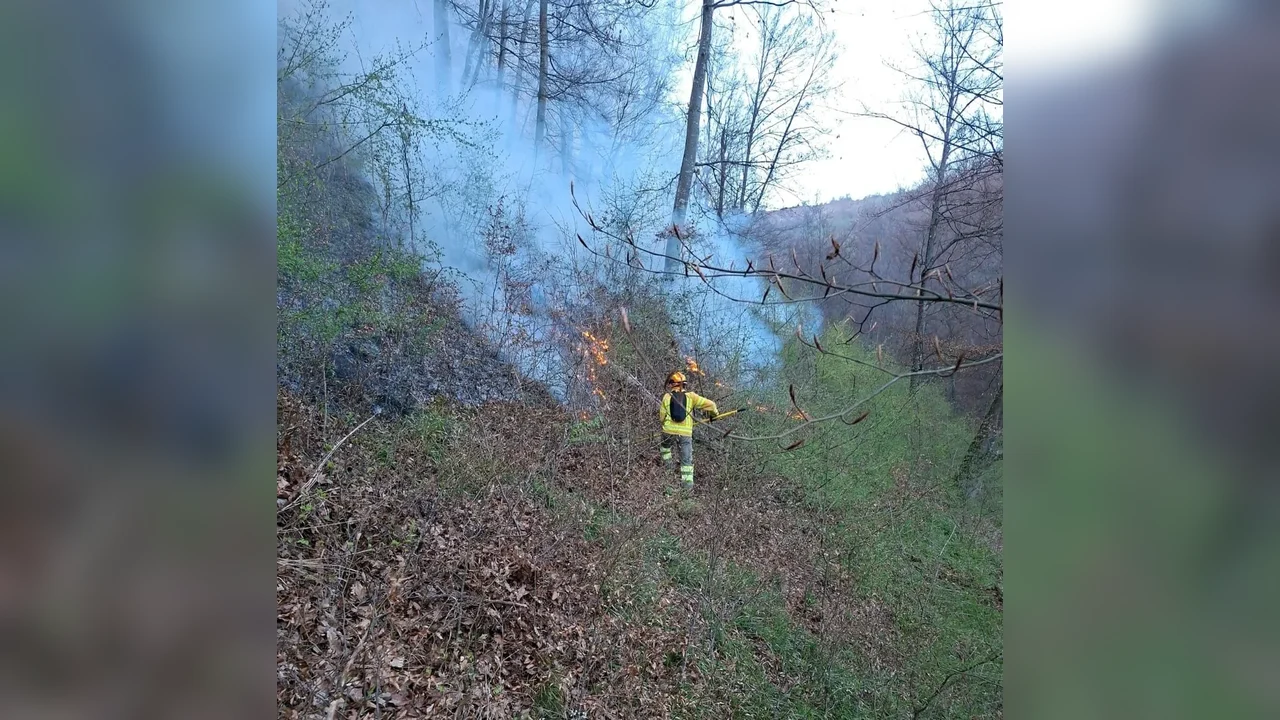 Esențial din Bihor: 11 incendii, peste 50 ha, focul din Tărcăița continuă