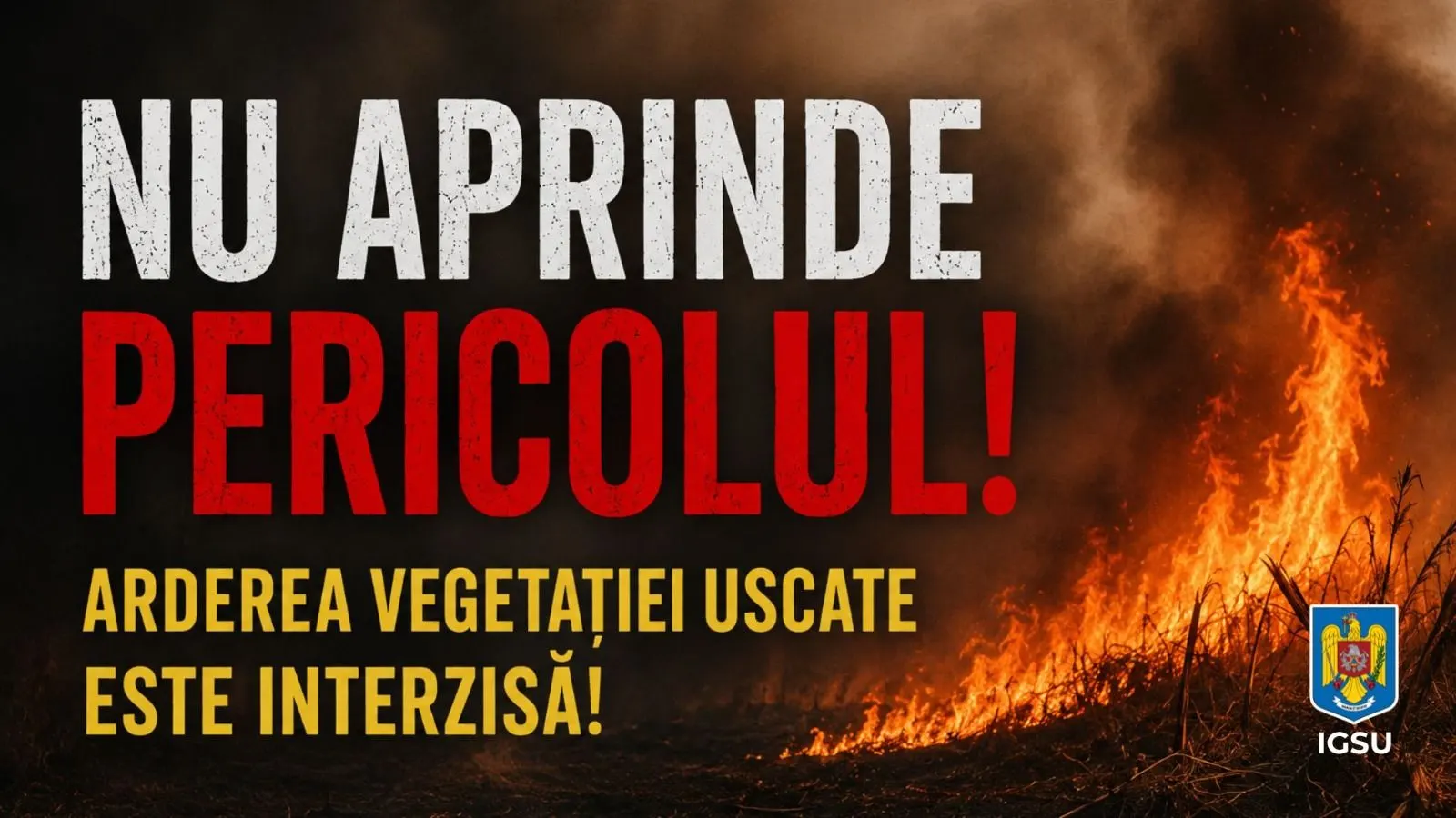 Incendiu mortal pe Popa Savu, sector 1