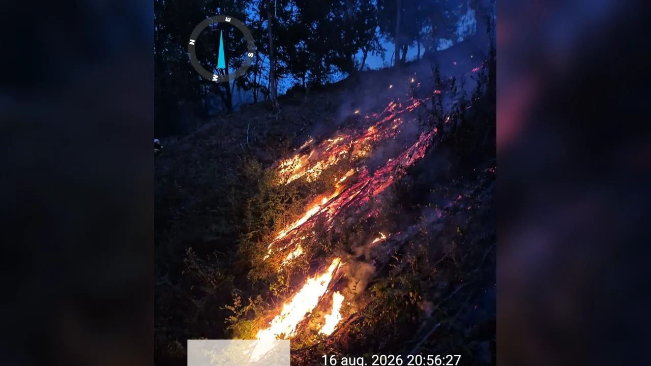 Timiș, weekend: 17 incendii de vegetație și peste 300 de hectare afectate