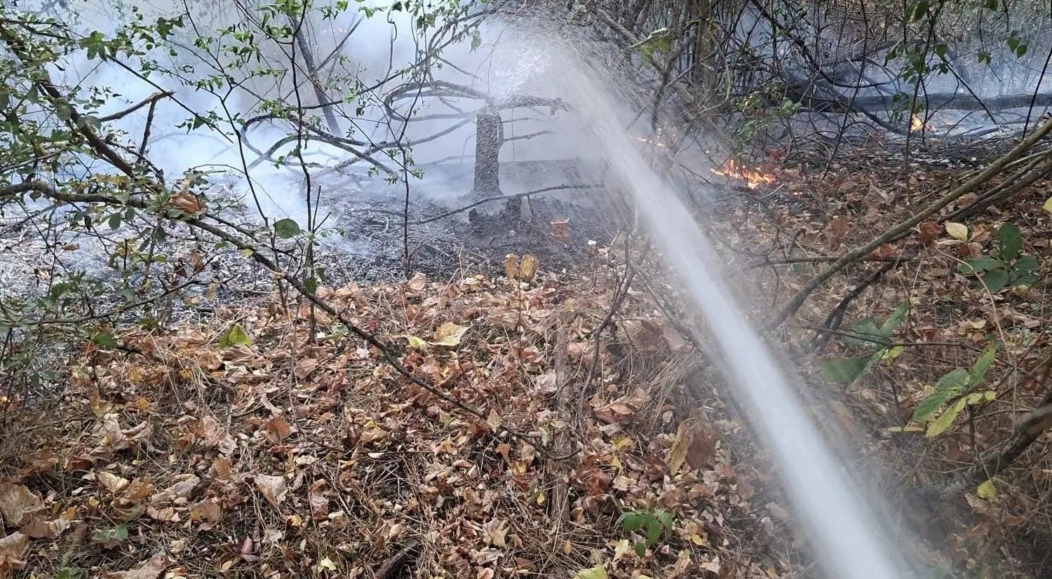 Incendii de vegetație în Hunedoara: zeci de hectare, zeci de pompieri