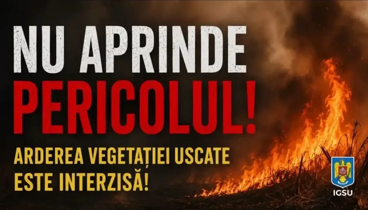 Incendii de vegetație în Timiș: peste 32 de hectare afectate