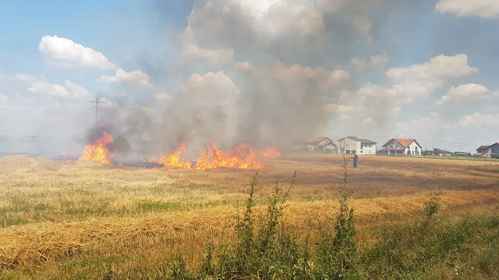 Val de vegetație uscată în Timiș: 23 de focare în 48 de ore