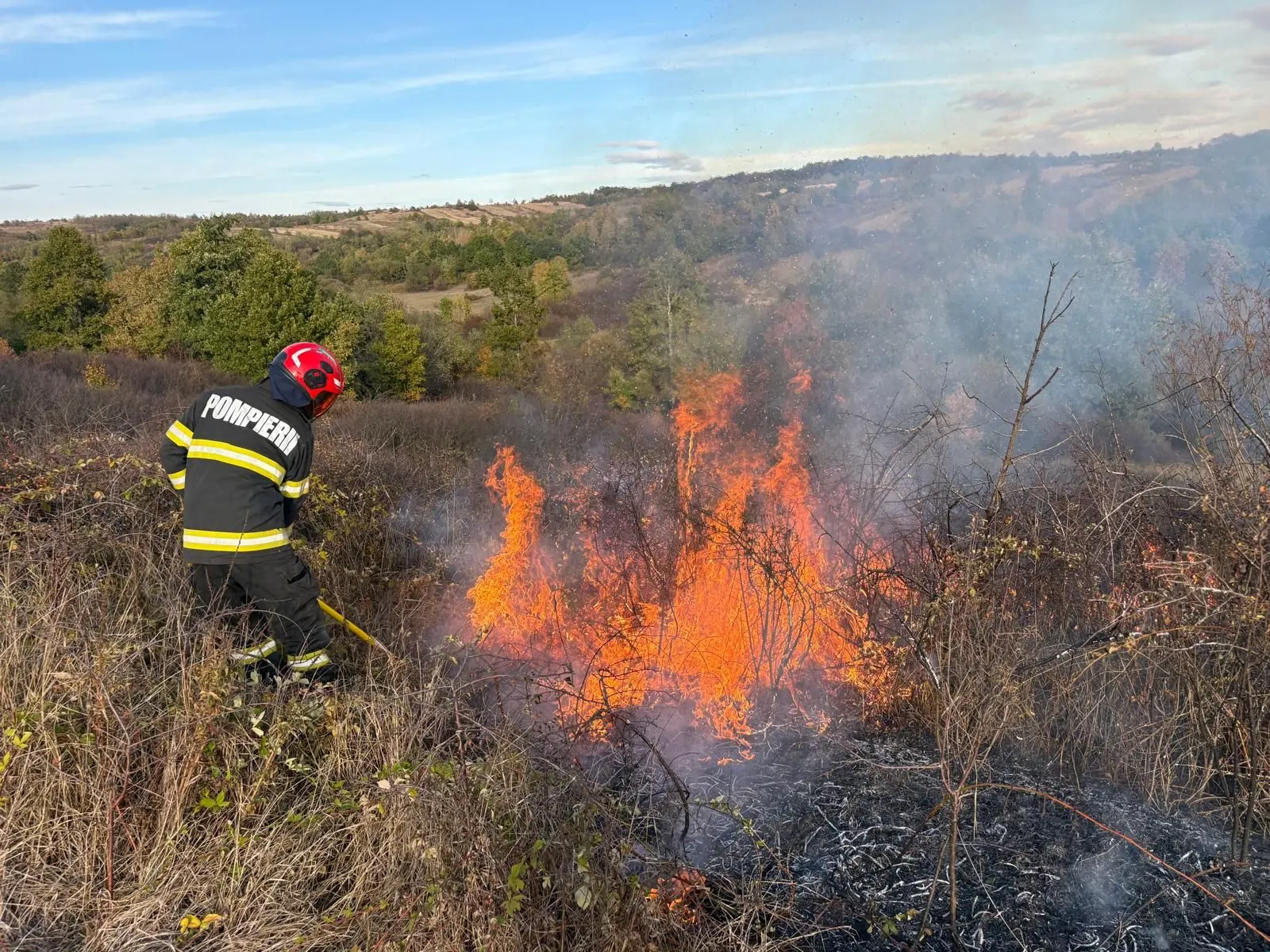 Peste 50 de hectare arse în Timiș, în cinci focuri de vegetație